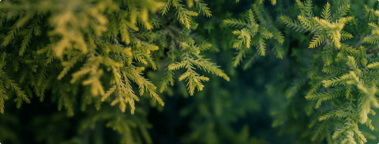 Наша миссия